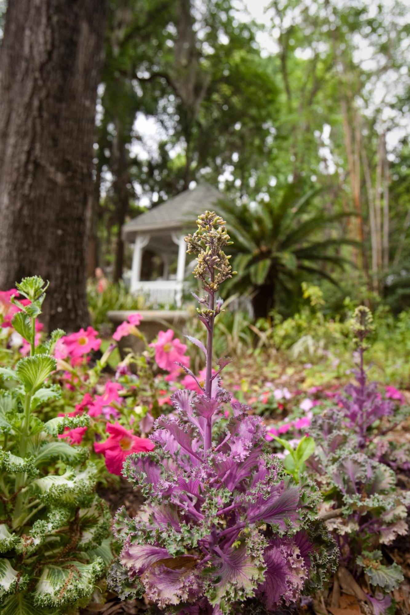 Sweetwater Branch Inn Gainesville Bagian luar foto